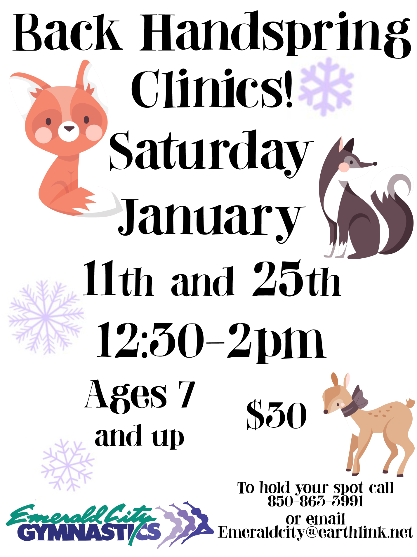 Back Handspring Clinic January 2025